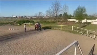 باشگاه سوارکاری کاسپین در آمل