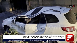 سقوط درخت روی خودرو در شمال تهران
