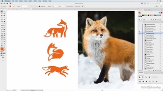 دوره آموزش ایجاد طراحی گویا - گرافیسم