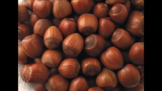 کره فندق بسدین