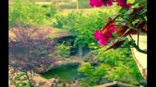 از فکر تا عمل