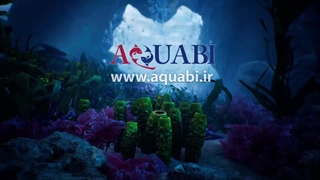 مجسمه آکواریوم صخره گلدار