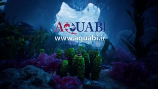 مجسمه آکواریوم کلبه