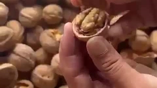 گردو پوست کاغذی