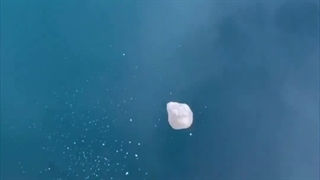 سر این جر خوردم 