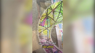 حلقه شنا بادی مدل رنگی