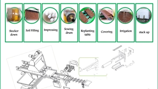 TIDAPARS seedling Line, پروفایل خط بذرکار گلخانه انگلیسی