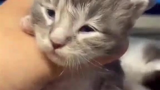 با گذشت زمان¿¿¿...