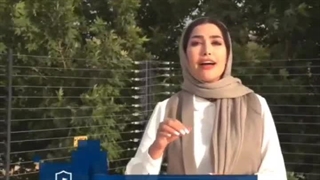 منظور از سیستم بازدارنده چیست