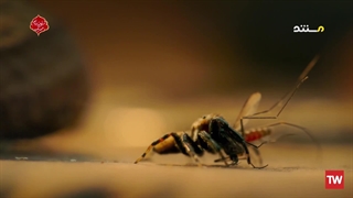 ابرطبیعی ؛ 2022 ؛ فصل 1 ؛ قسمت 5