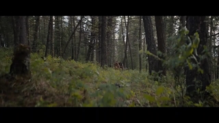 فیلم طعمه با دوبله فارسی// Prey 2022