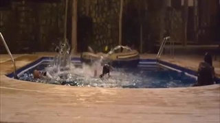 فیلم ارادتمند