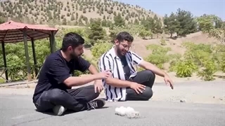 آقا رضا رو آسفالت نیمرو درست کرد