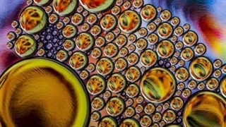 ترانه:از نیکی بازی راوی داند