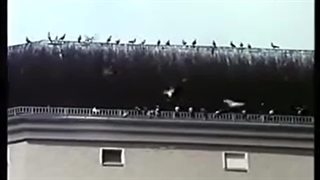 مجرم در اتاق زیر شیروانی