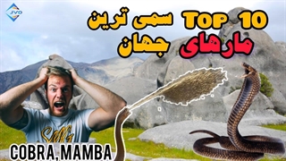 سمی ترین و خطرناک ترین مارهای جهان