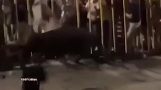 لحظاتی که نتیجه رفتار مخرب انسان ها به خودشان باز می گردد