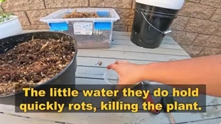 What is the Tomato Bucket Self Watering Planter Pot System?