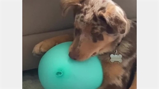 وقتی سیو سود نمیکنی! | OMPFINEX