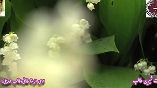 بر سمند سخن با کمند غزل قصه ی گیسو از اشعار غزلسرا طالب اردبیلی با صدای دلنشین و شنیدنی شاعر