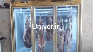 قیمت انواع یخچال مغازه پروتئینی