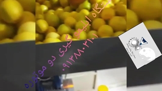 دستگاه ابلیموگیری دو موتوره ۰۹۱۳۸۸۰۳۱۰۱