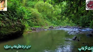 بر سمند سخن با کمند غزل نغز گرگ چشم جان درنده ی یار از اشعار محبوب استاد غزل م.طایفی(طالب اردبیلی)