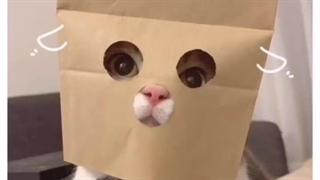 پروفایل سم♡