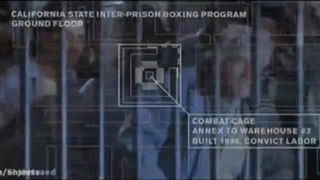 دانلود رایگان فیلم بویکا شکست نا پذیر