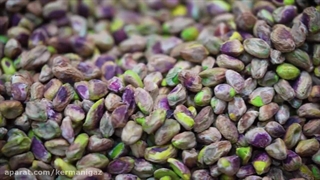 تولید گز کرمانی