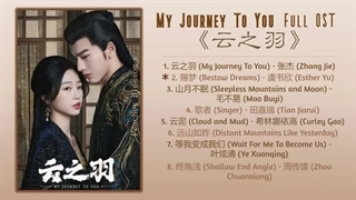 آهنگ و موسیقی سریال چینی سفر من به سوی تو (My Journey To You OST)