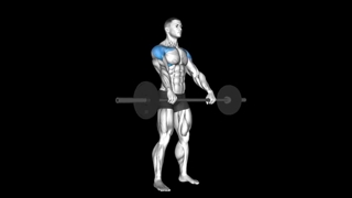 نشر از جلو هالتر