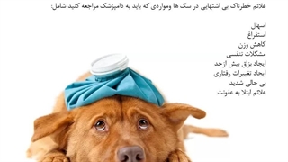 دلایل بی اشتهایی سگ