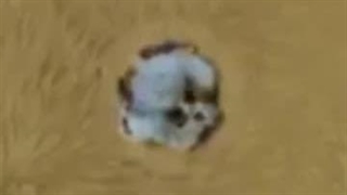 با این ترفند مبلتو تعمیر کن