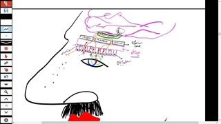 فیلم تدریس تعادل-بویایی-چشایی با خفن ترین نکات-حواس-فصل 2 زیست یازدهم