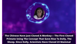 Primate Cloning Breakthrough: Unlocking Nature's Mirror