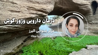 درمان دارویی وزوز گوش