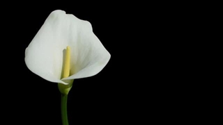 مختاباد زمزمه Mokhtabad - Zemzemeh