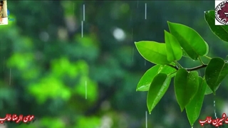 دکلمه شعر شورانگیز طواف عشق از دیوان عشق طالب اردبیلی با صدای دلکش لیلا باقری| طواف عشق از دیوان عشق و مشتاقی استاد غزل (طالب)