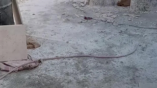 تجربه حرفه - مهندسی