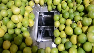 دستگاه آبلیموگیر چندکاره صنعتی 09133395543