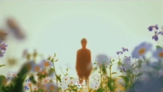 میکس از انیمه بچه گرگ‌ها