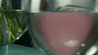 ویدئو افتتاحیه استودیو گل و کیک چیکا | گل فروشی آنلاین قم