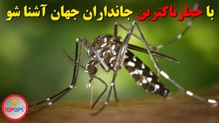 کشنده ترین و خطرناکترین جانداران دنیا!!!