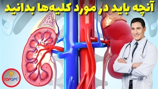 کلیه،پالایشگاه بدن انسان:آنچه باید در مورد کلیه ها بدانید!