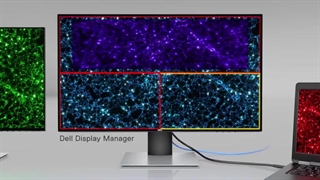 معرفی مانیتور دل مدل U2421HE + خرید مدل استوک