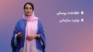 سیستم حقوق و دستمزد صدگان