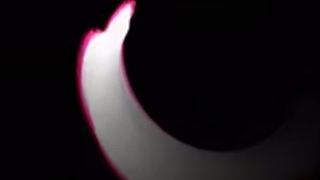 مودی پارت ششم :) کپ