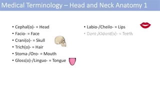 Medical Terminology - The Basics - Lesson 6