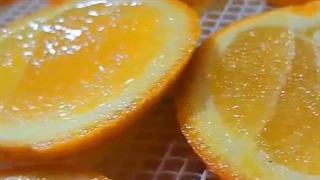 خشک کن 100 کیلویی 09133395543